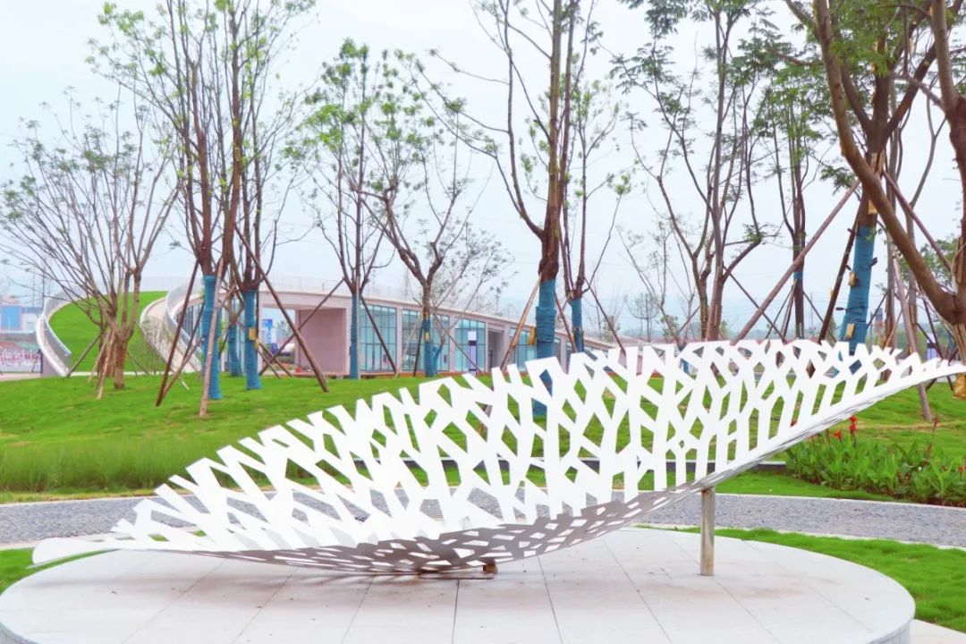 春暖花开运动好时节,春暖花开该开始运动了