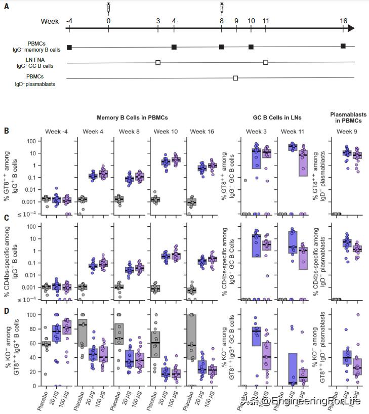 最新艾滋病疫苗研发,全球最新艾滋病疫苗