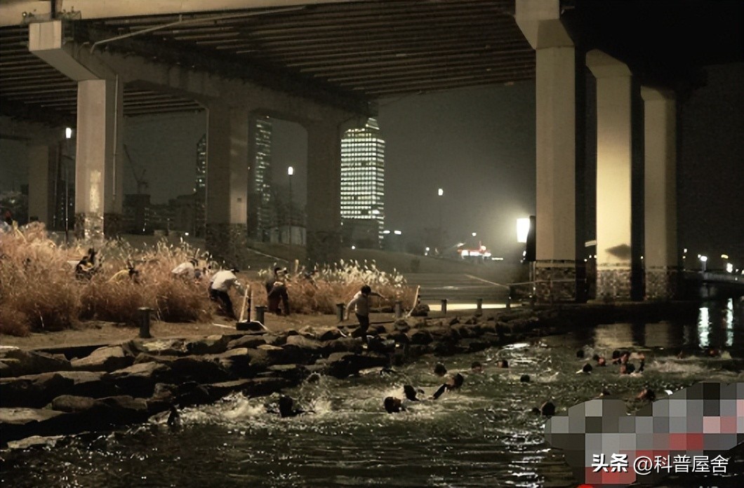 控制大脑的寄生怪物,控制宿主的恐怖生物