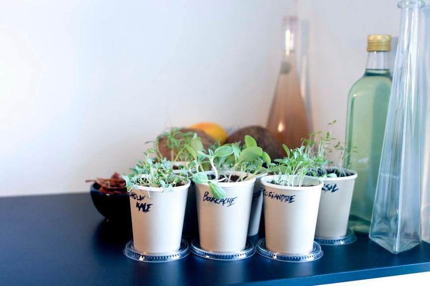 判断一个女人是否干净,看她身上的这三个地方就够了