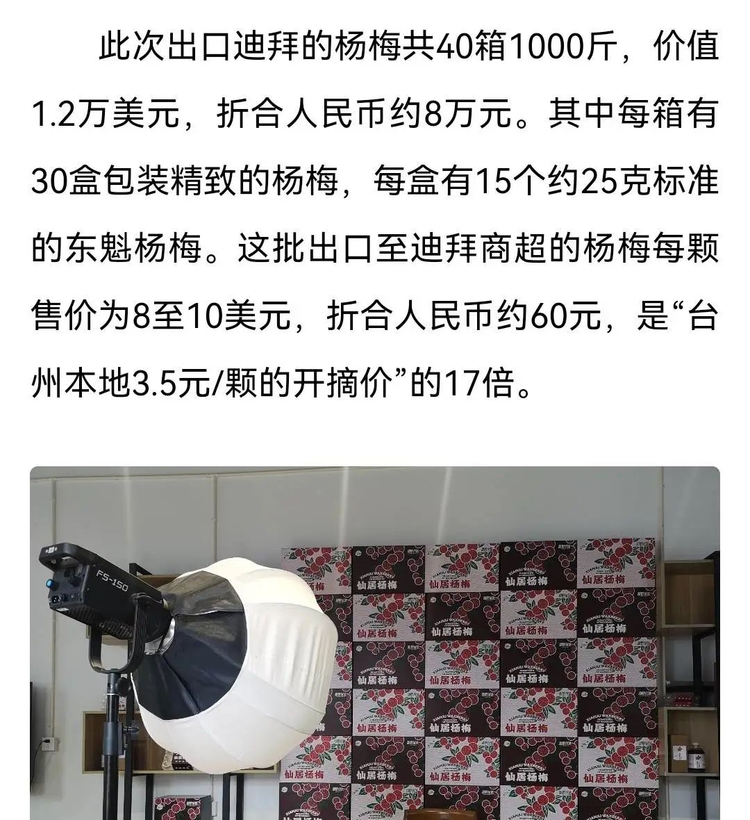 杨梅生活在什么气候中,东魁杨梅生长气候