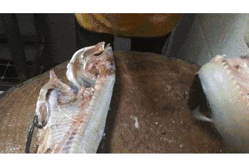 浙江免费打hpv疫苗,浙江金华hpv疫苗怎么预约