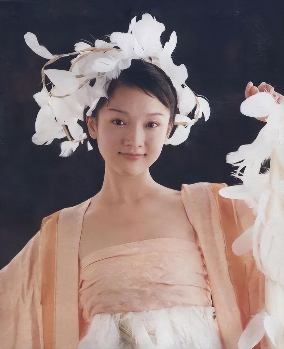 90年代的高晓松,高晓松的人生经历