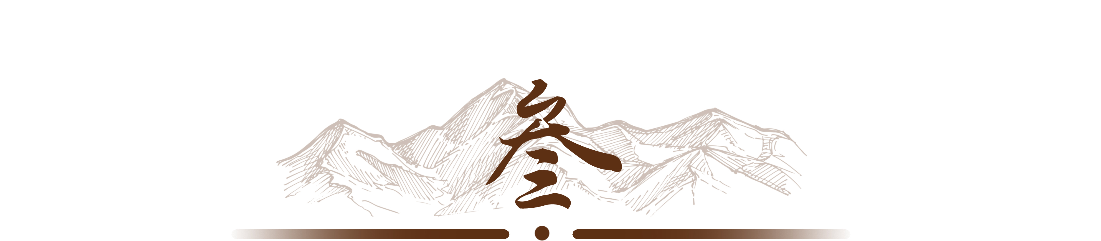 小伙靠养龟年度百万,男子靠三只病龟赚了6000万