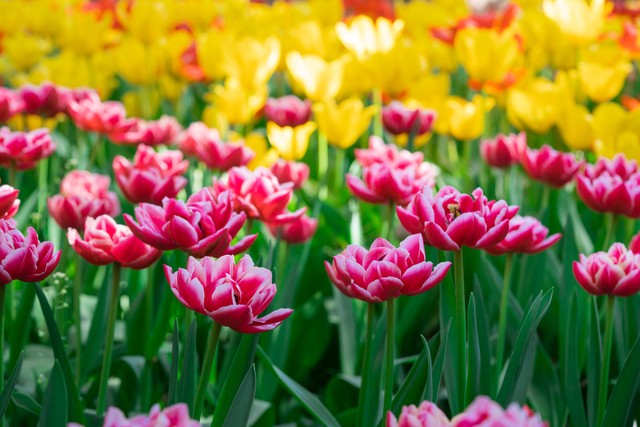 一边崩溃一边又在自我治愈,一边崩溃一边治愈是生活常态