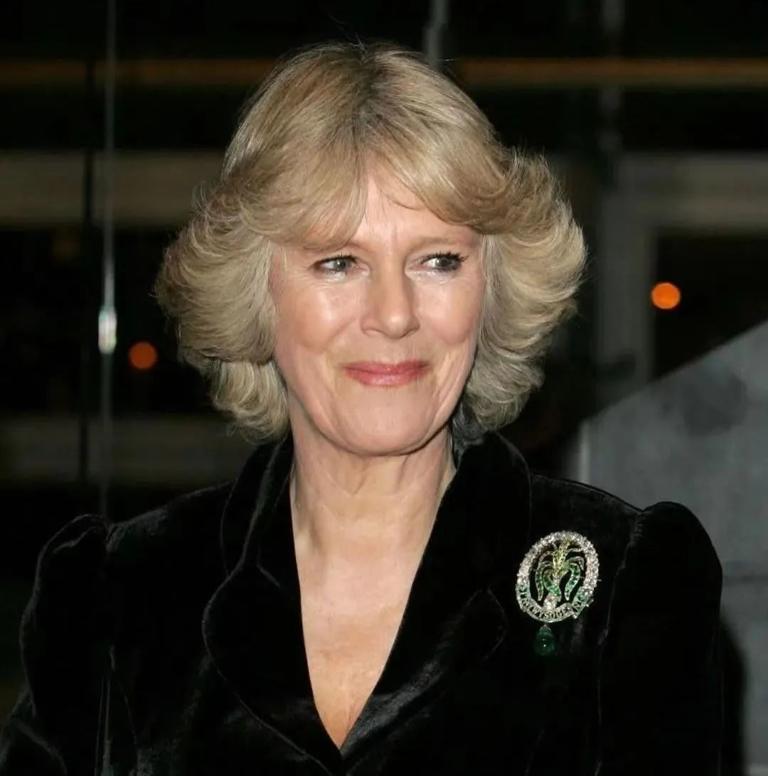 英国王后卡米拉年轻时身材好吗,卡米拉黛妃的珠宝