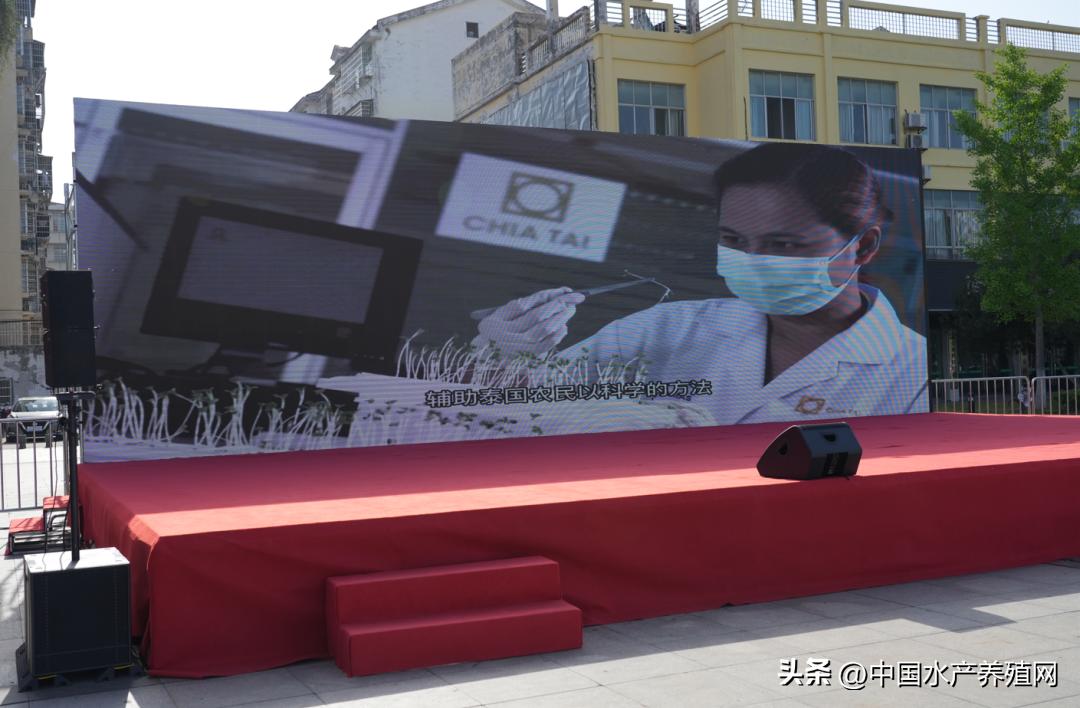 2023年南县小龙虾价格行情,南县小龙虾价格报价