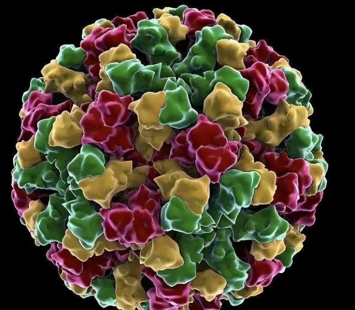 宝宝病毒感染高烧不退的处理,宝宝病毒感染高烧不退最佳方法