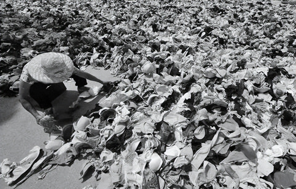 央视新闻衣服致癌物超标,衣服致癌物超标有哪些