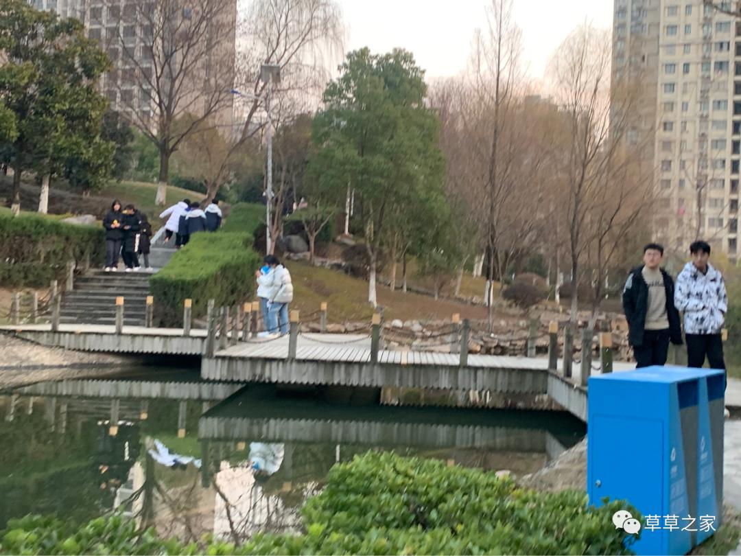 合肥一中有一个后花园，你进去玩过吗？早春里的一中后花园