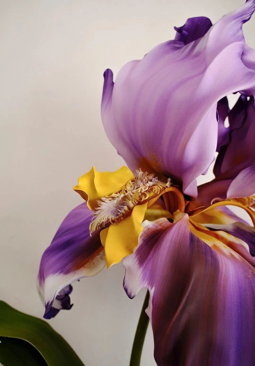 34岁转行即火|大品牌、明星争相找这位新手做花