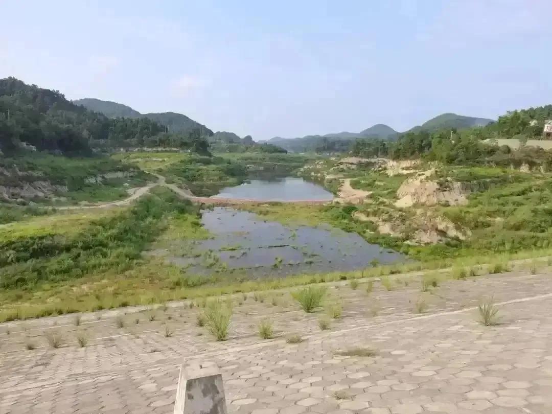 项目创业计划书,创业计划书格式