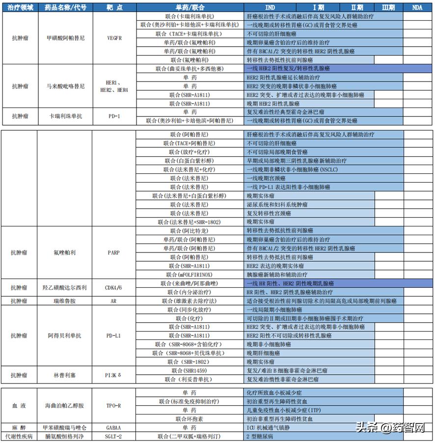石药集团和恒瑞利润对比,恒瑞医药在中国排名第几