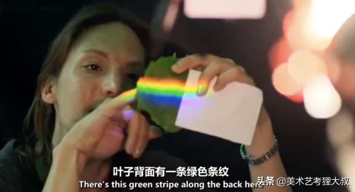 9岁学画画零基础入门,孩子0基础学画画先学什么