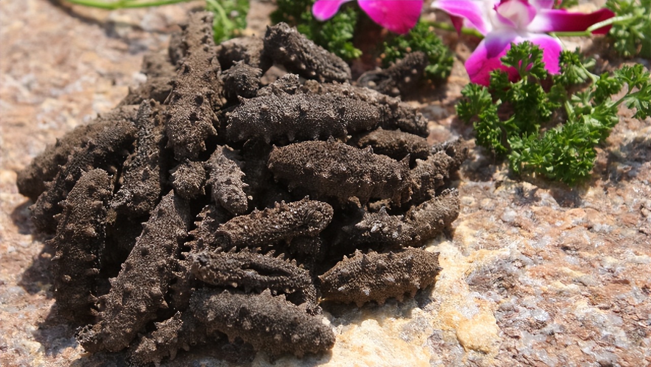 中国地理标志农产品品牌展播,威海市第五届知名农产品