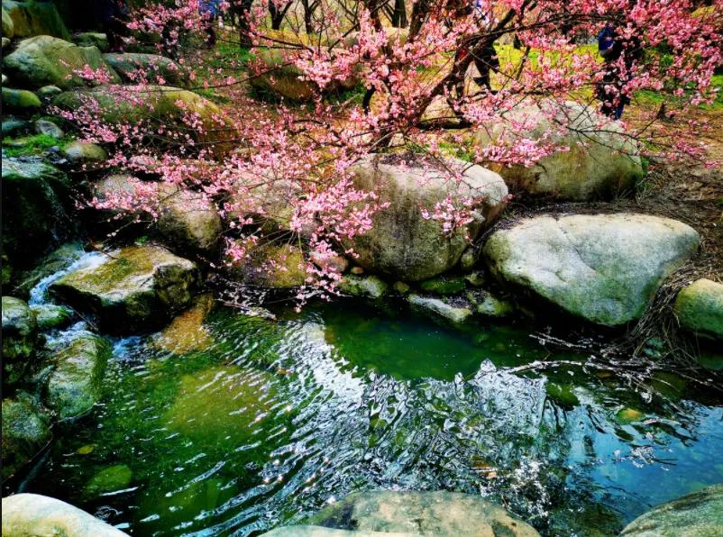 李白的五言绝句十首,李白最霸气的十首诗