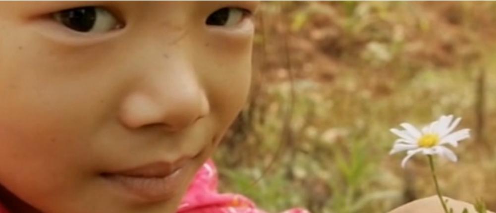 8岁白血病女孩现状,8岁女孩白血病自愿放弃治疗电影