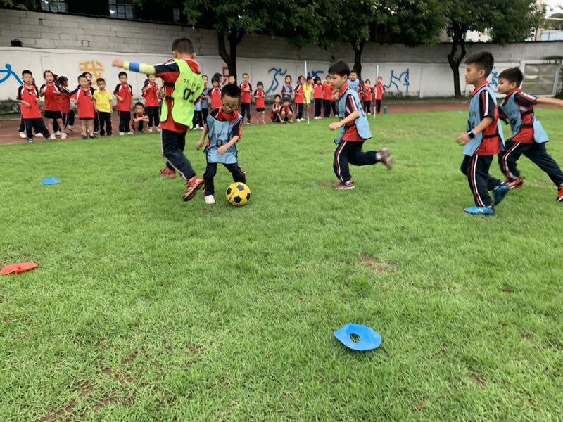 广东青少年足球学校排名,张槎中学喜报