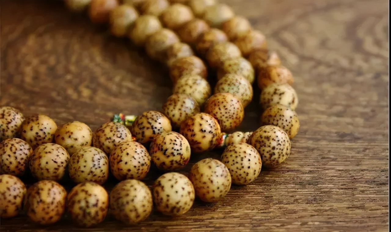 星月菩提有哪几种造型,星月菩提特殊造型