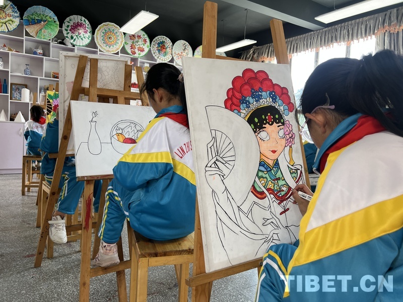 外国人学生来中国参观交流,多国驻华使节参访新疆