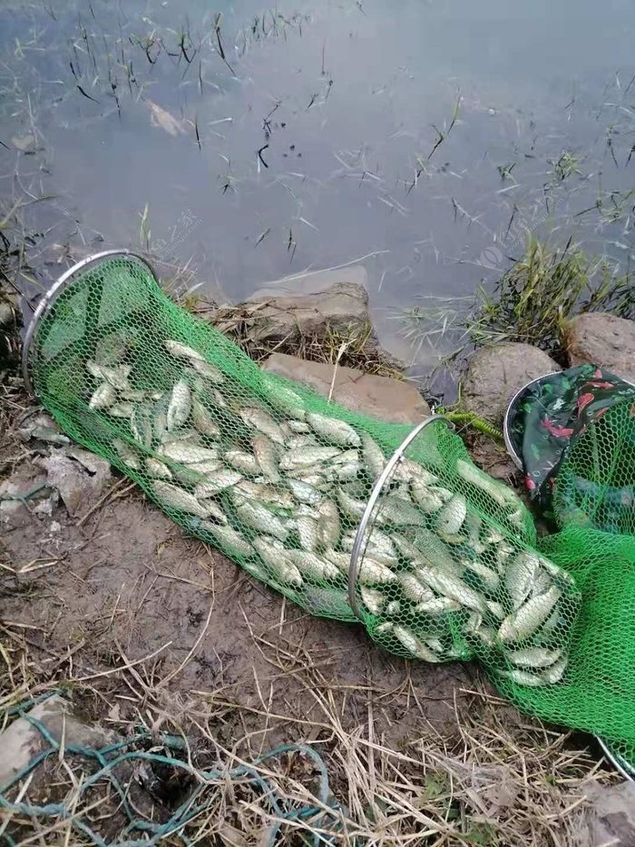 掌握这四大钓鱼技巧你也是高手,掌握这几点小窍门