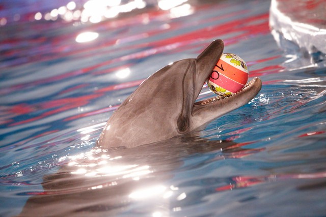 单身久了看什么都温柔,单身久了看啥都像爱情一样