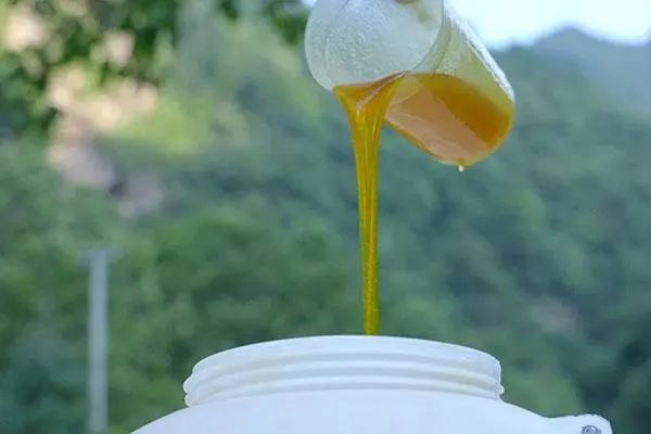蜂蜜几年过期怎样辨认真假蜂蜜,养蜂人告你真假蜂蜜的识别方法