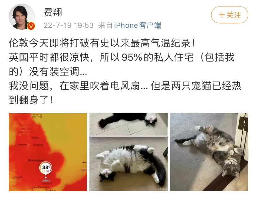 极端高温怎么解决啊,极端温度灾害主要有