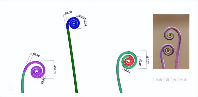 张唐景观手绘,张唐景观作品