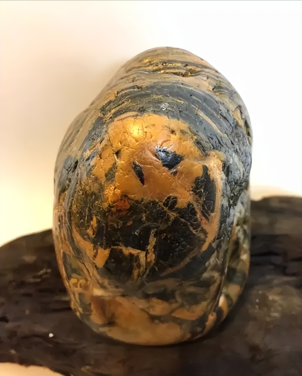 河沟捡熊猫奇石,捡到国宝熊猫奇石