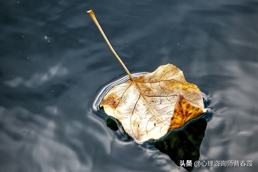 重度抑郁好转从可以独立思考开始,十几年抑郁焦虑可以完全康复吗