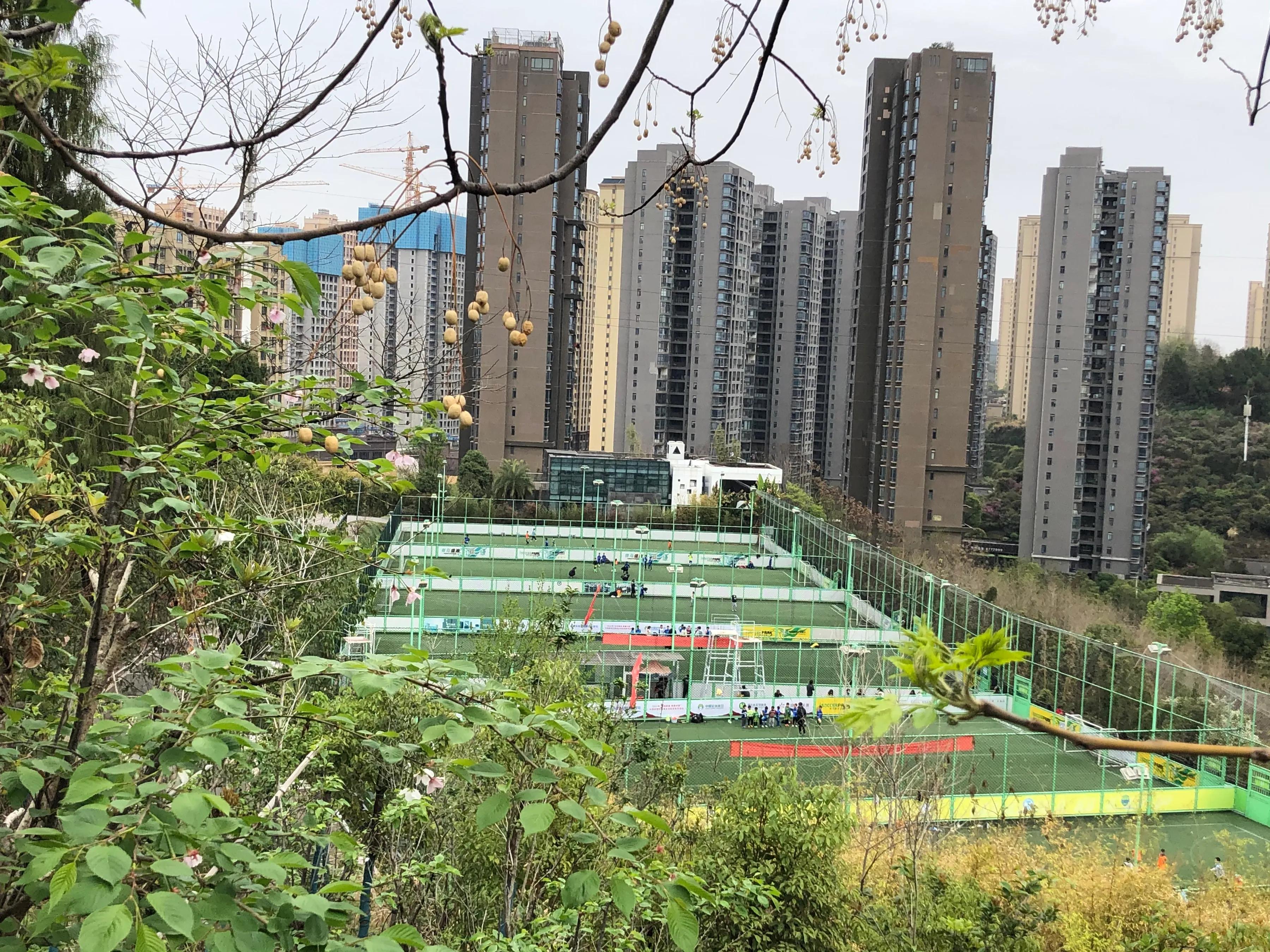 瀹滄槍鎺㈢,瀹滄槍杩愭渤鍏洯