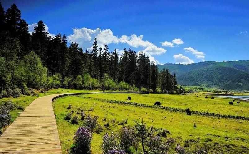 云南十大必玩景点你去过几个,云南丽江十大旅游景点大全