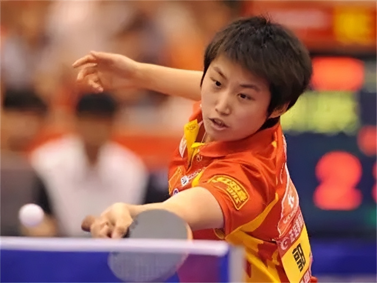 女乒施之皓刘诗雯,乒乓球女队主教练施之皓