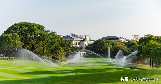 草皮铺设简单,草皮铺设视频教程