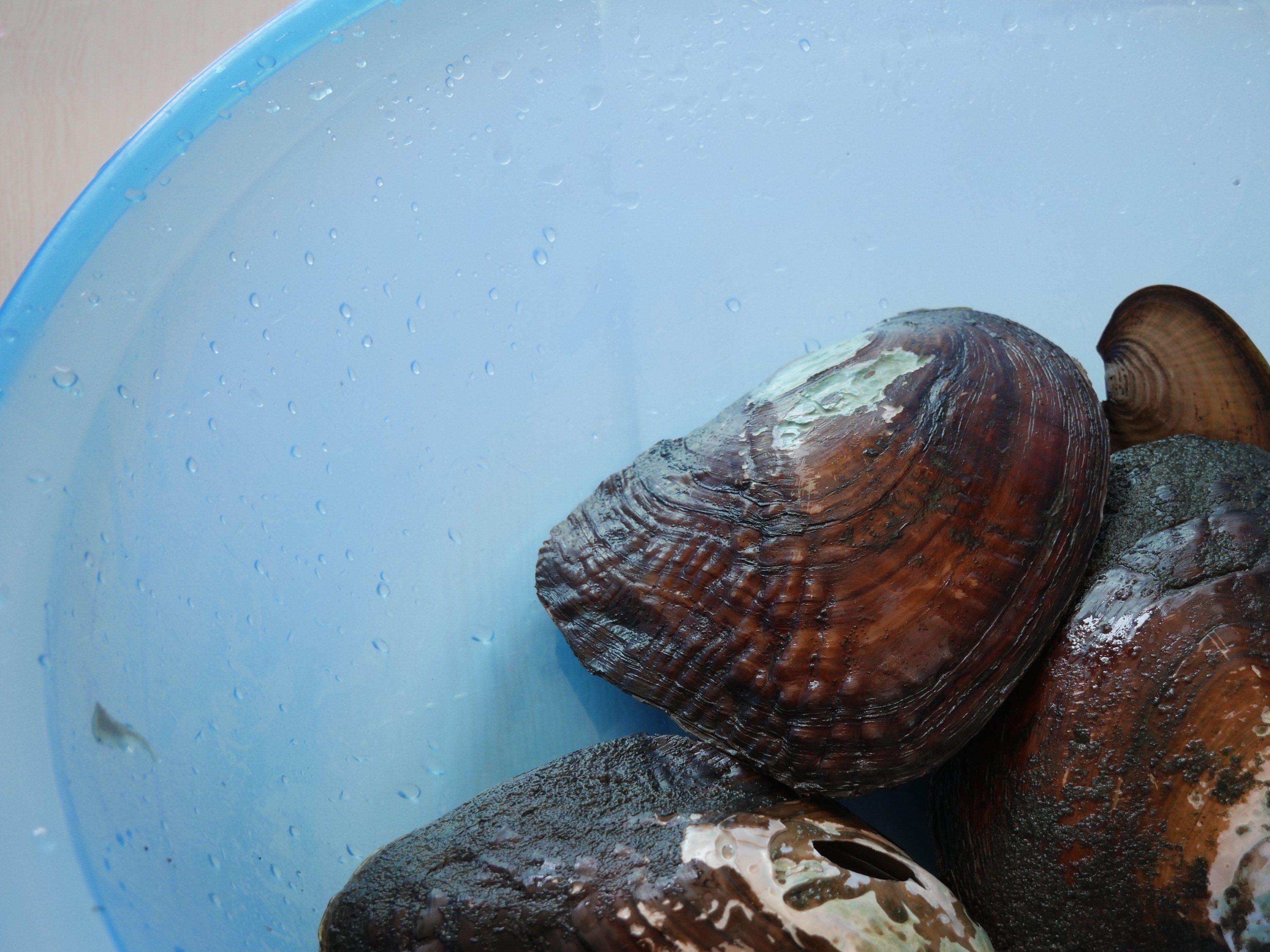 做口红的小玩具,好玩的玩具推荐少女心手工玩具