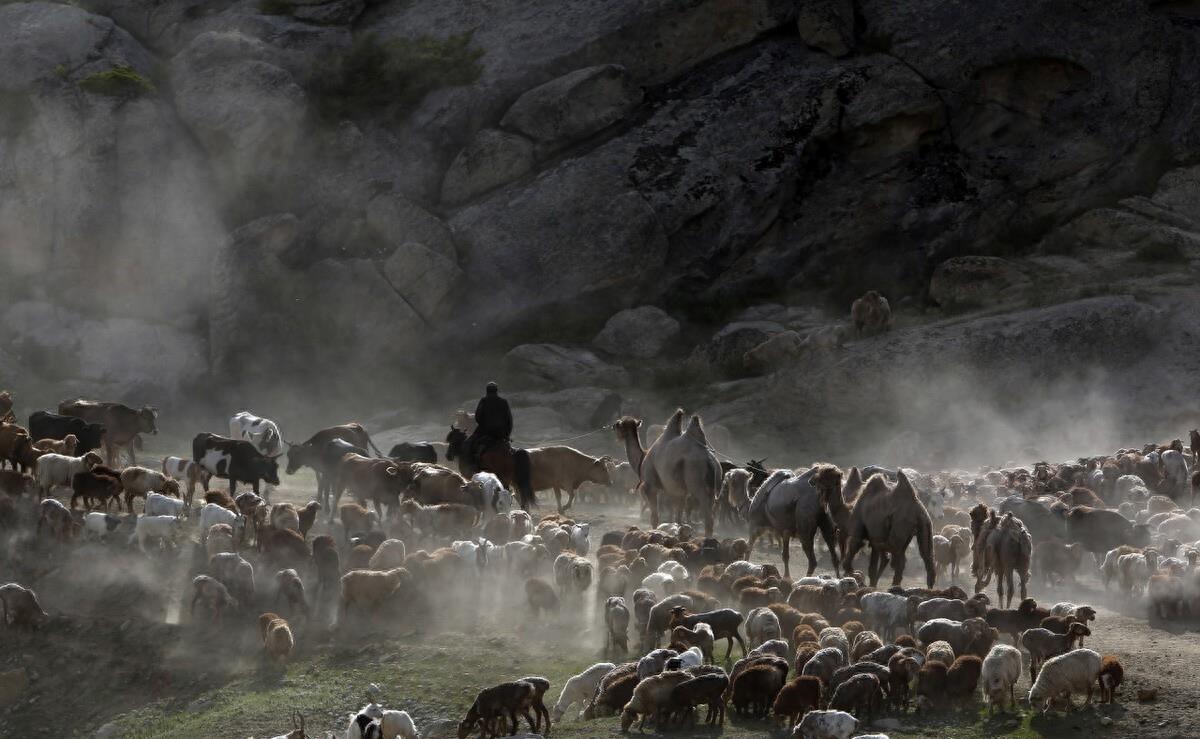 阿尔泰山有哪些国家,中国阿尔泰山在哪里