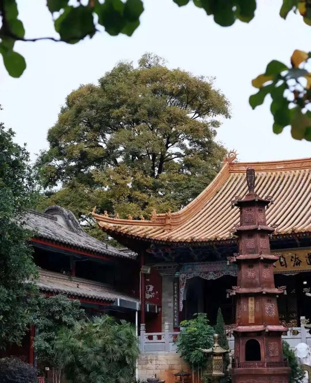 昆明小众打卡点,昆明小众适合孩子玩的地方