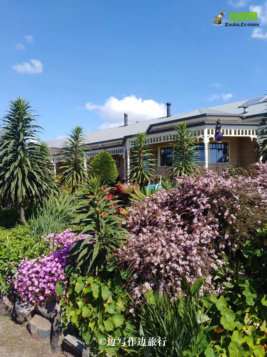 24岁女孩旅行50个国家,去外国边打工边旅行