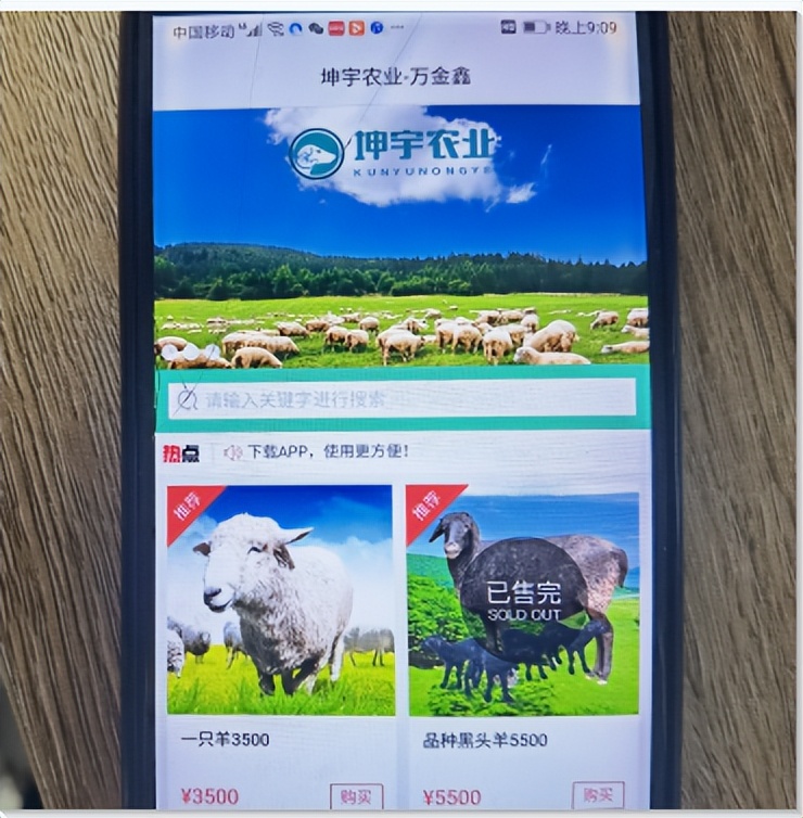 一只“羊”竟带来7000元的利润？蘑菇气派出所及时助群众反诈止损！