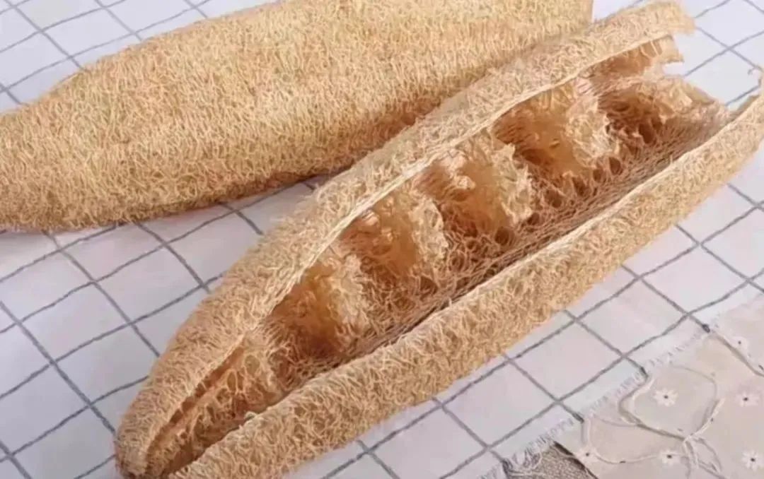 丝瓜络只用来洗碗就out了！快来解锁它的隐藏用法