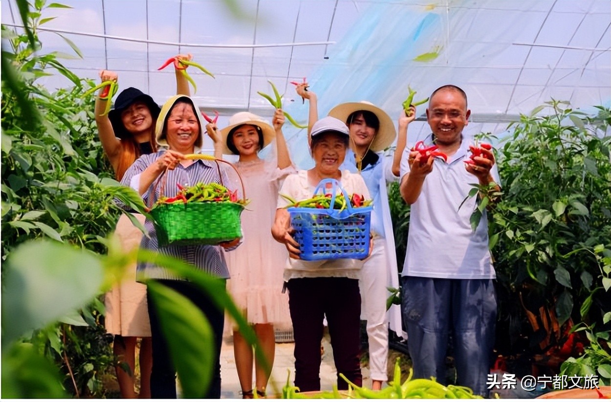 宁都是个好地方完整版,宁都是个好地方是谁说的