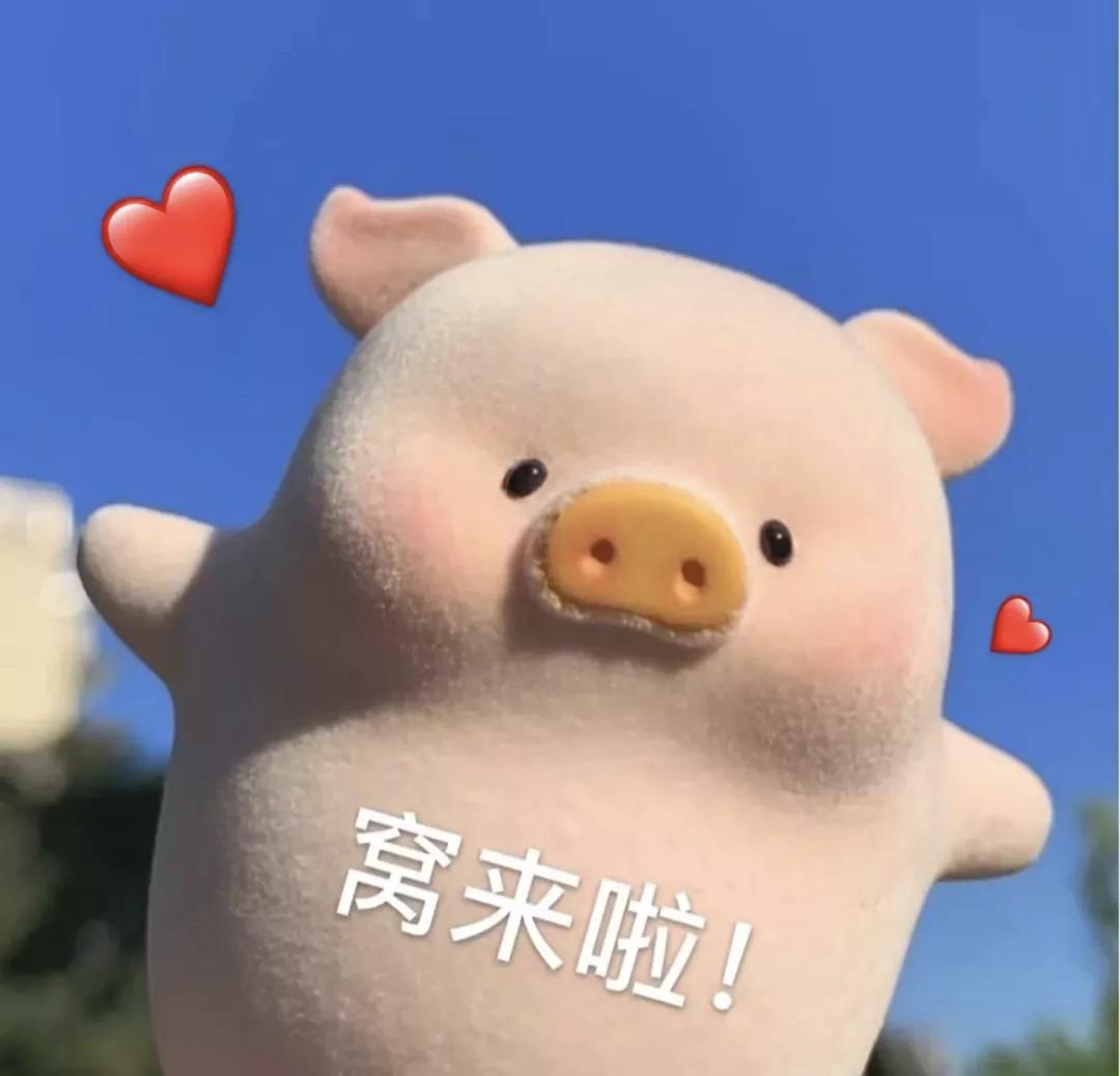 第五年的年度爱用分享！全是实用基础单品