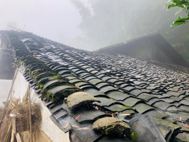 北碚三圣龙王村,重庆北碚山水龙王村