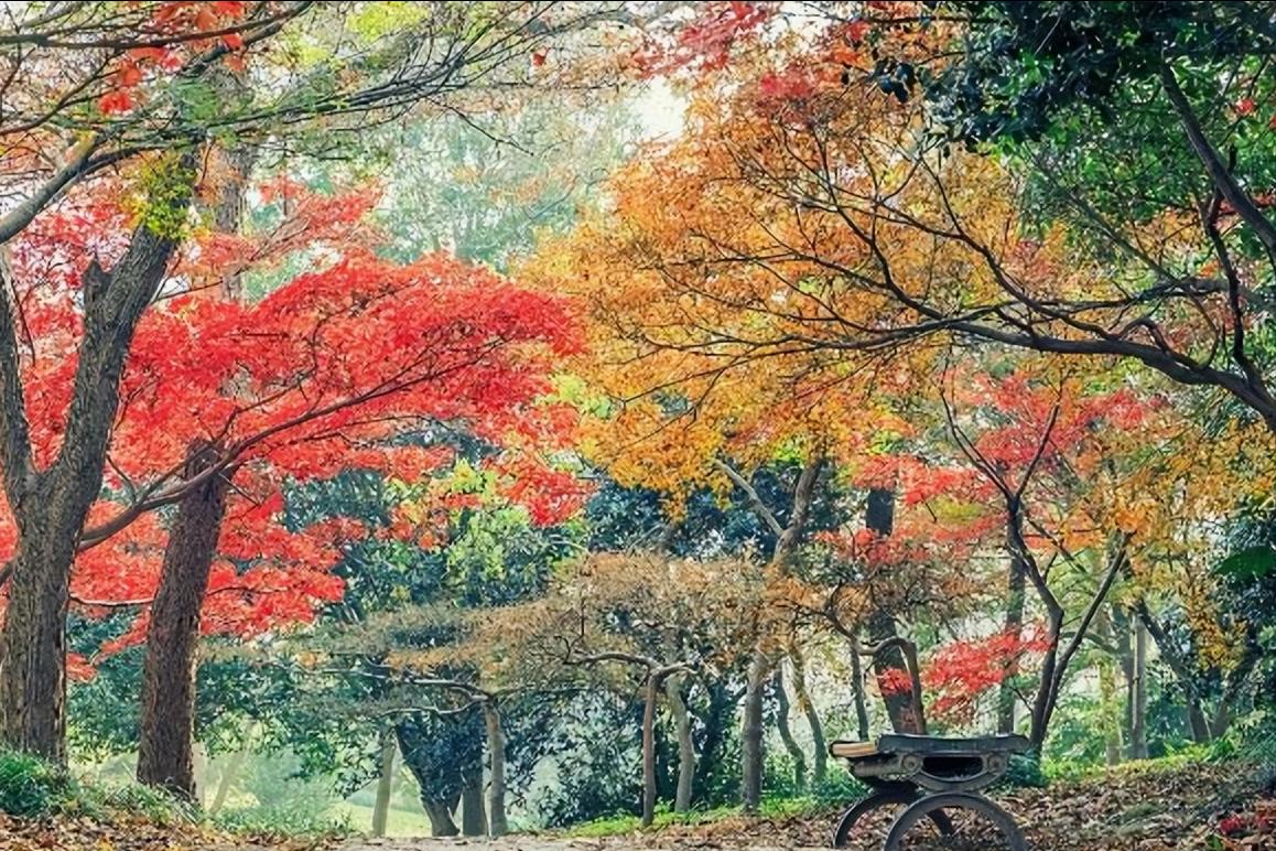 宋代经典七律古诗100首,宋朝最著名的七言律诗