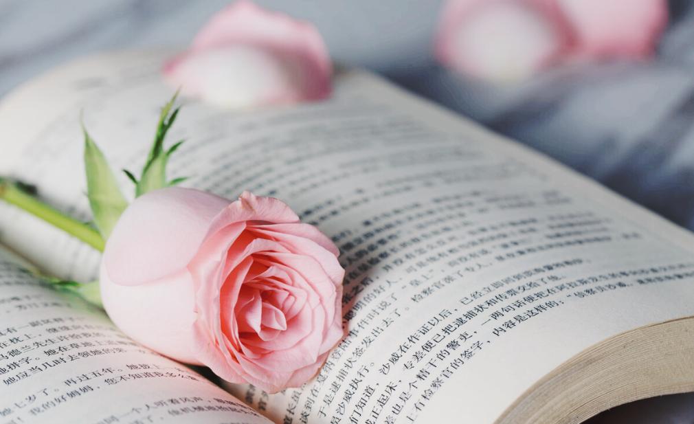 如何从零开始运营公众号文章,公众号运营如何写好一篇攻略文