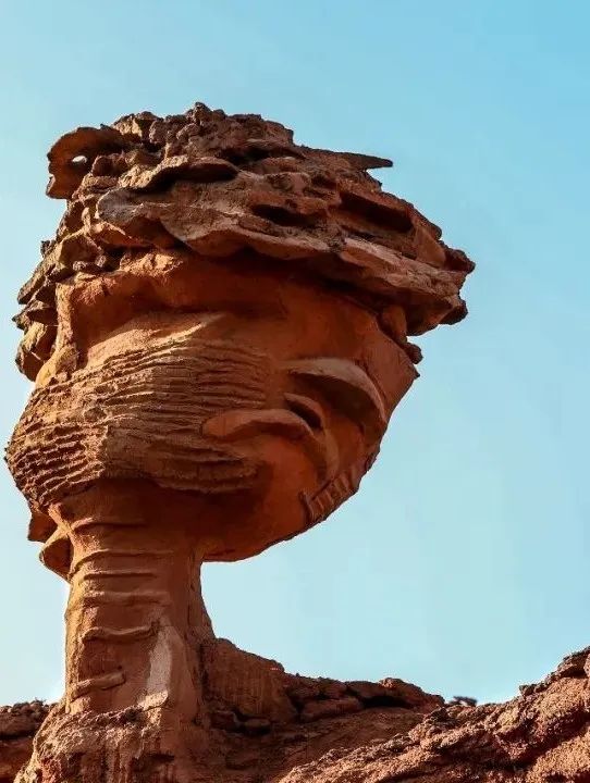 向北向北！|“美”在内蒙古