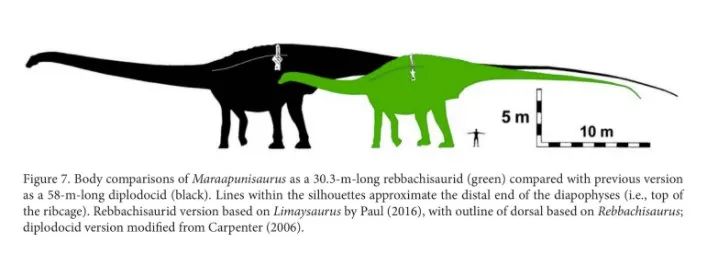 为什么恐龙体型那么大,恐龙的体型为什么那么庞大