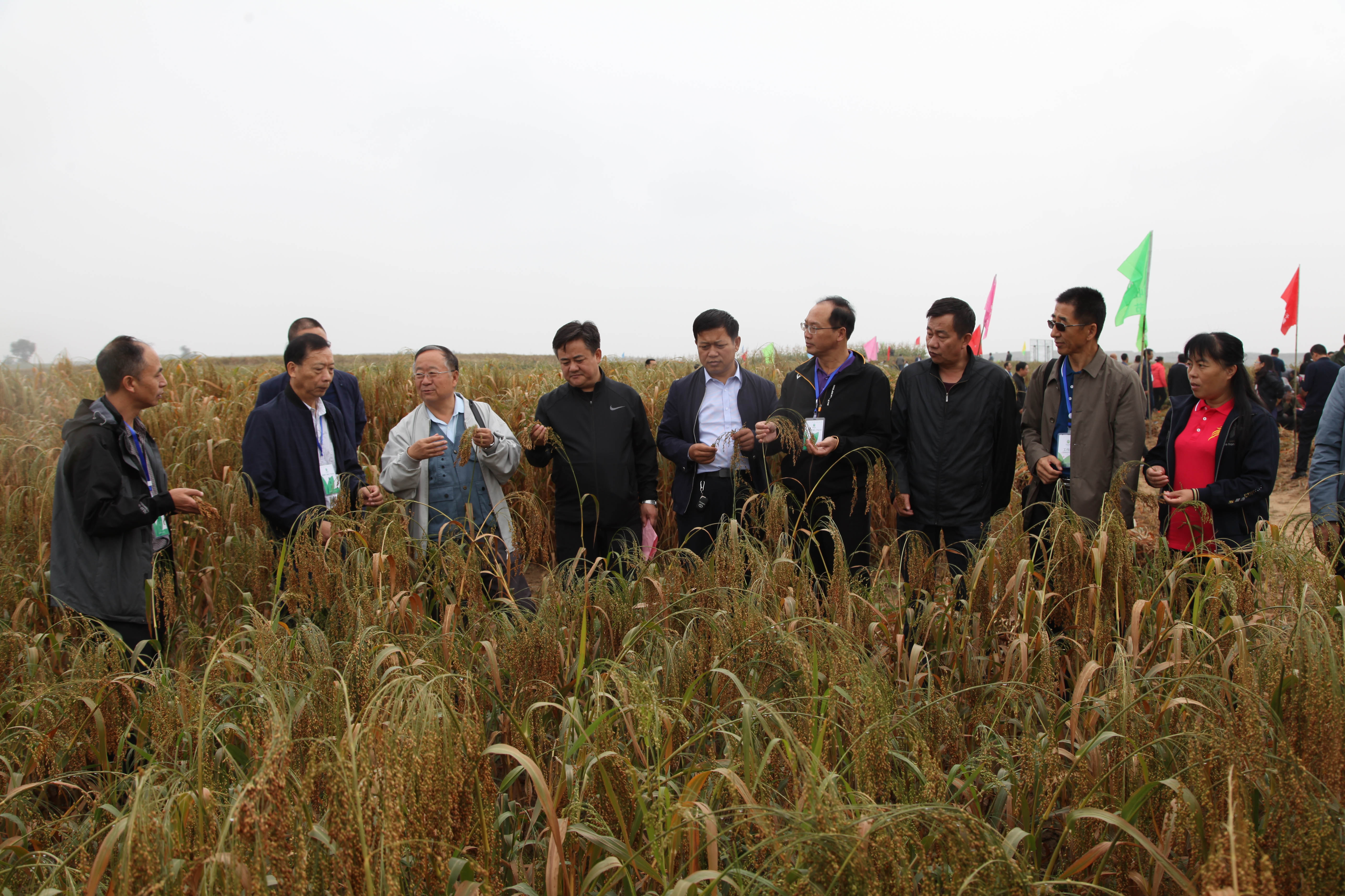 农业科技这十年丨冯佰利：深耕小杂粮成就品牌“天下知”