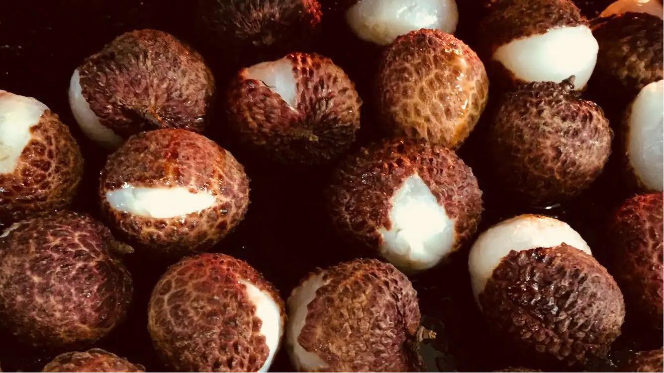 广东适合围炉煮茶吗,广州围炉煮茶有什么好地方